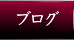 ﾌﾞﾛｸﾞ