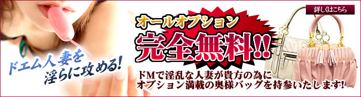 オールオプション完全無料